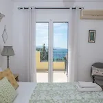 Olive By Seaside *