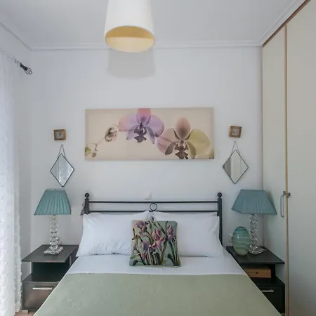 Olive By Seaside Tsilivi (Zakynthos)